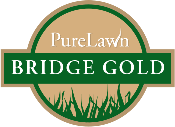 PureLawn Bridge Gold