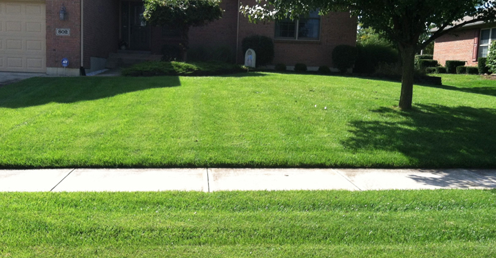 West Chester Lawn Service – PureLawn