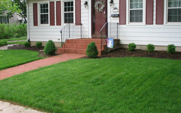 How do I Keep Crabgrass out of my Lawn?