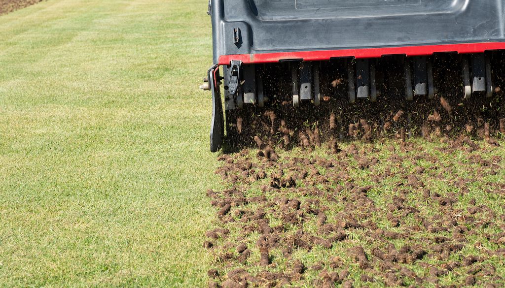 Core aeration equipment removing soil plugs from a compacted Dayton Ohio lawn to improve water infiltration and root depth