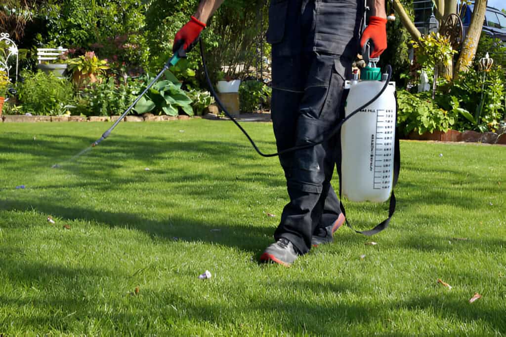 Are-Lawn-Chemicals-Safe-Safety-Guidelines-Little-Rock-Lawns-1024x683
