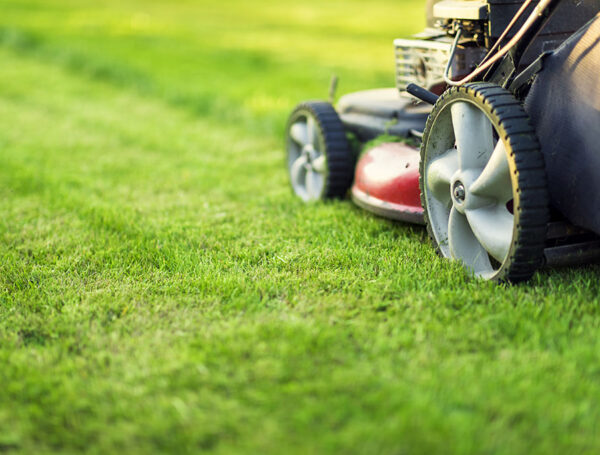 Why Shorter Grass Helps Your Lawn Survive the Winter