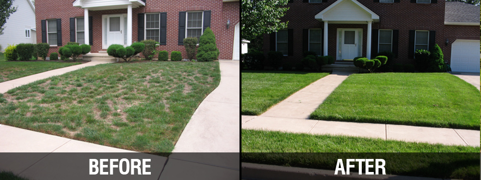 Before & After Lawn Care
