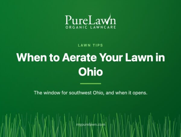 When to Aerate Your Lawn in Ohio