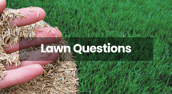 PureLawn Lawn Care Services Dayton and Cincinnati Areas