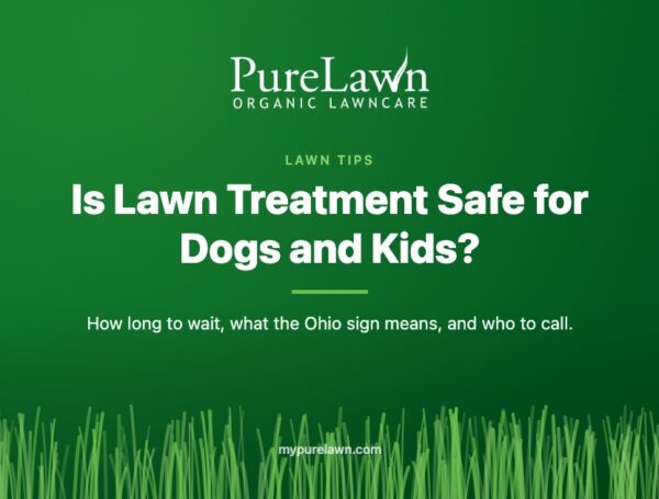 Is Lawn Treatment Safe for Dogs and Kids?