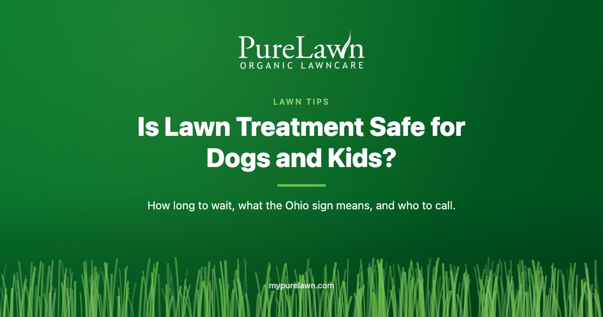 Is Lawn Treatment Safe for Dogs and Kids?
