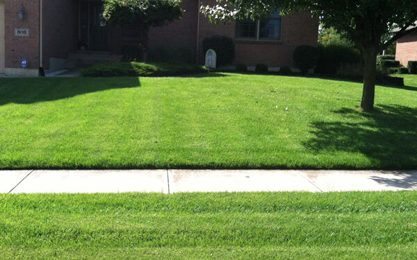 West Chester Lawn Service – PureLawn