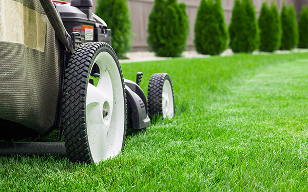 Summer Mowing Tips