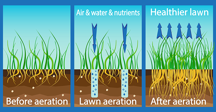Spring Green Up Tips – The Organic Turf Experts PureLawn