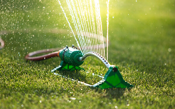 Watering Tips for Lawns