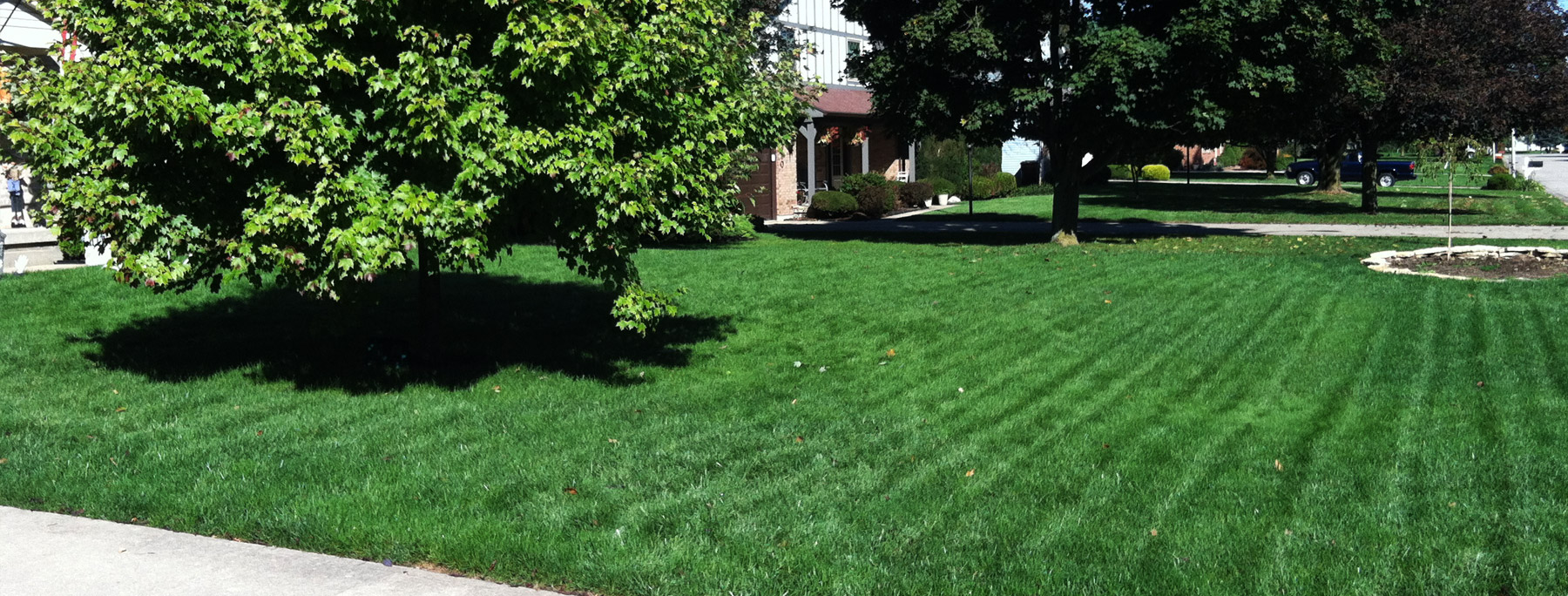 Dayton Lawn Care PureLawn Organic Lawncare