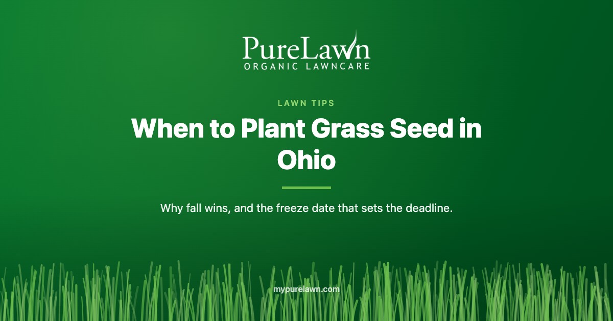 Why Fall Is the Best Time to Seed a Lawn in Southwest Ohio