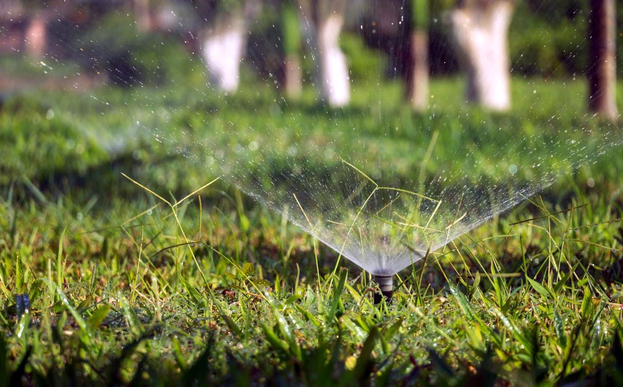 Water Conservation Tips for Ohio Lawns
