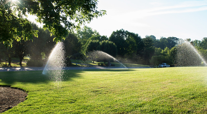 NTEP Turfgrass Standards in Ohio: What They Mean for a Healthier Lawn in Dayton
