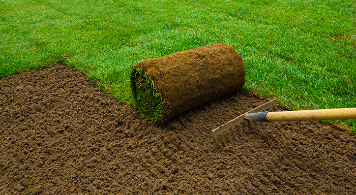 Soil Testing Guidelines for Dayton Lawns: A Local Homeowner’s Guide